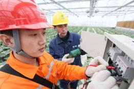 貼心服務“家庭農場”用電