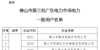 廣東佛山市第三批廣東電力市場電力一般用戶名單