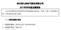 九洲電氣上半年風電光伏收入增加 預計<font color=