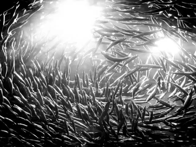 售電公司怎么用流量思維賺錢！