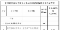 貴州2017年270兆瓦光伏電站項目分配方案