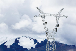 雪山的來(lái)客