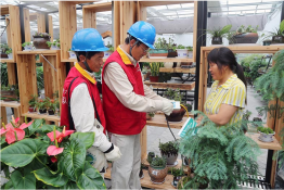 保障鄉(xiāng)村旅游景點(diǎn)“黃金周”可靠用電