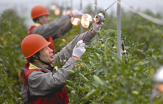 20140103151550858286142