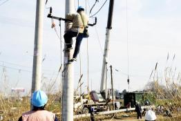 特事特辦服務(wù)50億“巨無霸”項目