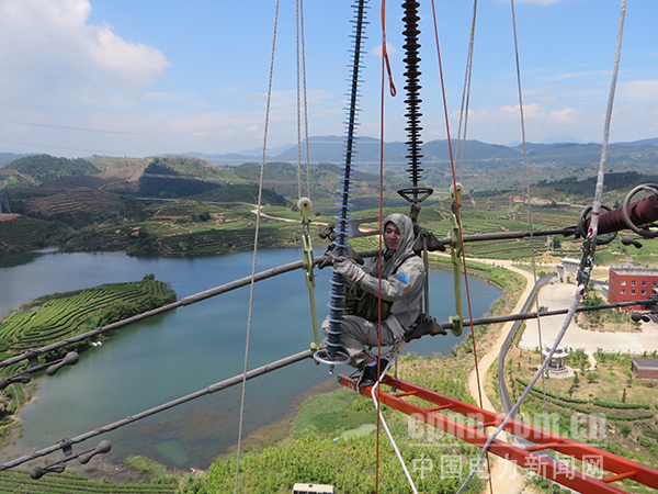 圖為工作人員冒著高溫帶電更換受損絕緣子串