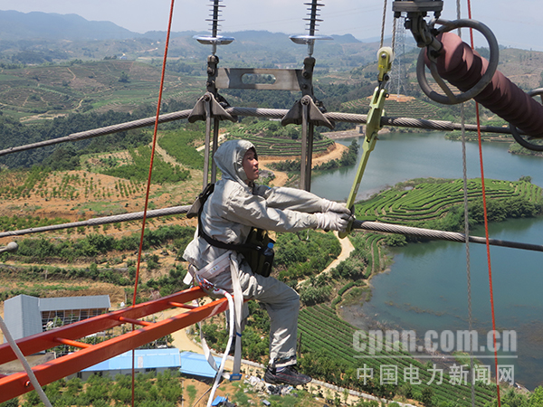 圖為工作人員冒著高溫帶電更換受損絕緣子串