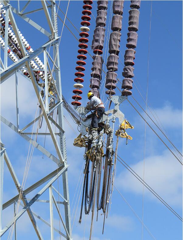 分秒必爭忙跨越