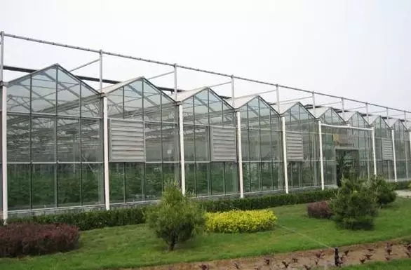 電能"雙替代"！山東去年累計(jì)節(jié)省煤炭消耗1680萬噸