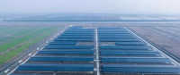 浙東15.6MW“牧光互補(bǔ)”牛棚發(fā)電站項目投產(chǎn) 為浙東最大