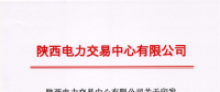 《陜西電力市場(chǎng)售電公司履約保函管理辦法(試行)》的通知