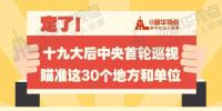 定了！華電集團(tuán)、中核集團(tuán)將接受十九屆中央第一輪巡視