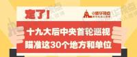 定了！華電集團(tuán)、中核集團(tuán)將接受十九屆中央第一輪巡視