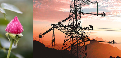 南方區(qū)跨省跨區(qū)交易，2018年會是待放的玫瑰嗎？