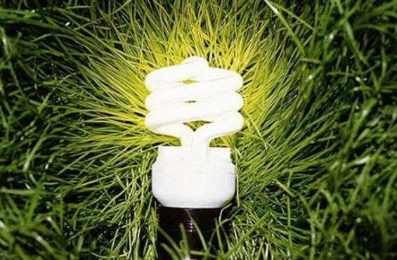 綠證能否突出重圍？