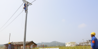 數(shù)讀電網(wǎng)丨4000萬：欽州城郊供電改造<font color=