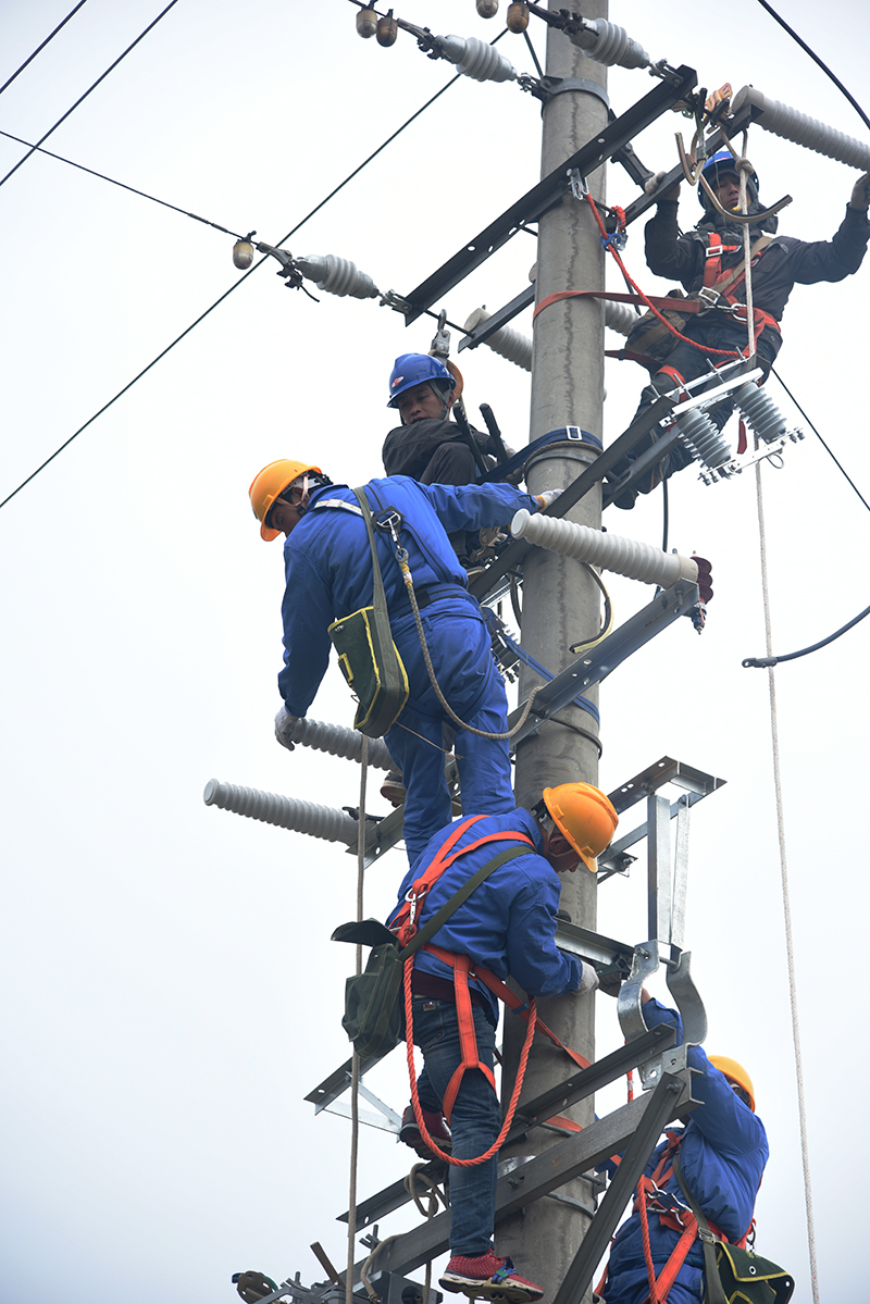 靈川供電線路專項整治確保新春用電
