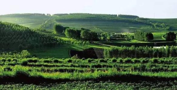 中國最大國有林區(qū)碳匯交易額破百萬元