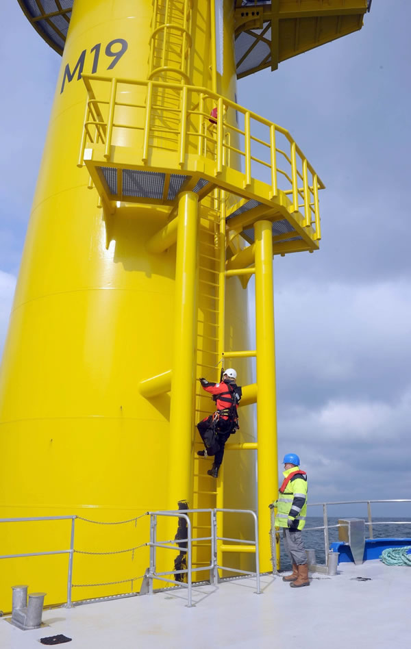 2017年1-12月中國(guó)風(fēng)力發(fā)電機(jī)組出口金額統(tǒng)計(jì)圖