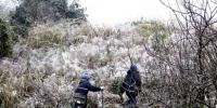 桂林興安供電冰雪來襲抗冰勇士在行動