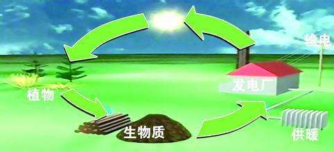 生物質(zhì)是替代核電、火電 彌補天然氣缺口的一種重要新能源