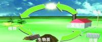 生物質是替代核電、火電 彌補天然氣缺口的一種重要新能源