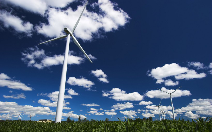 大云網(wǎng)售電商學(xué)院：風(fēng)電發(fā)展不可忽視的重要環(huán)節(jié)--  風(fēng)電生態(tài)環(huán)境需維護(hù)