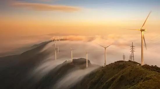 大云網(wǎng)售電商學(xué)院：風(fēng)電發(fā)展不可忽視的重要環(huán)節(jié)--  風(fēng)電生態(tài)環(huán)境需維護(hù)