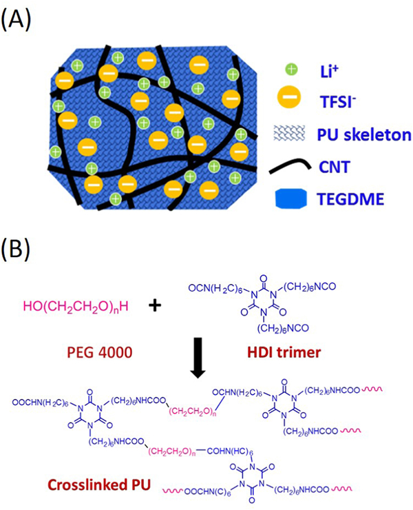 基于電子/離子雙傳導(dǎo)凝膠顆粒結(jié)構(gòu)的高容量和長壽命鋰氧氣電池正極