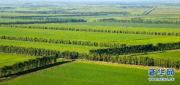 三北防護(hù)林不擋沙塵？專家：固沙作用明顯，此次沙塵來自蒙古