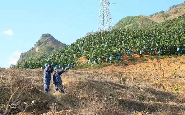 聽說(shuō)最近輸電線路和鐵塔“火”啦！