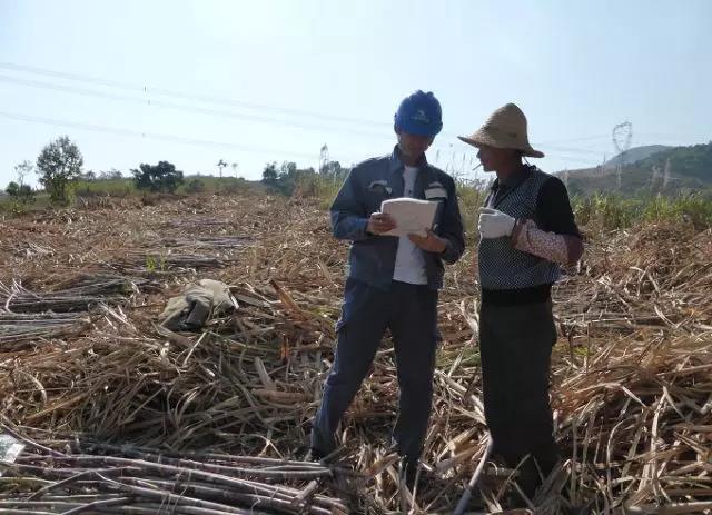 聽說(shuō)最近輸電線路和鐵塔“火”啦！