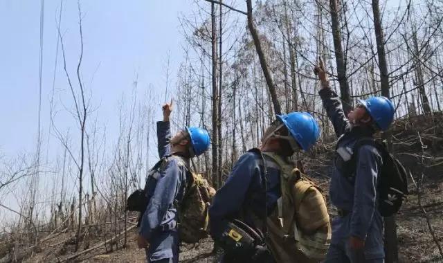 聽說(shuō)最近輸電線路和鐵塔“火”啦！