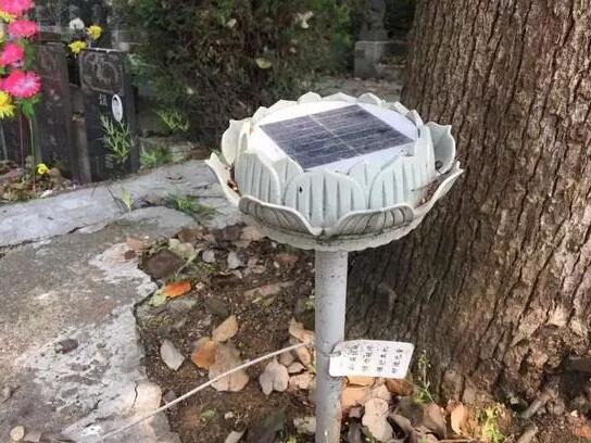 墓地傳來哭聲 周圍卻沒有人影 清明節(jié)你被光伏嚇著了嗎？