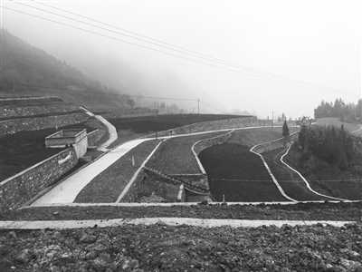 土壤治理修復(fù)的“川味”經(jīng)驗