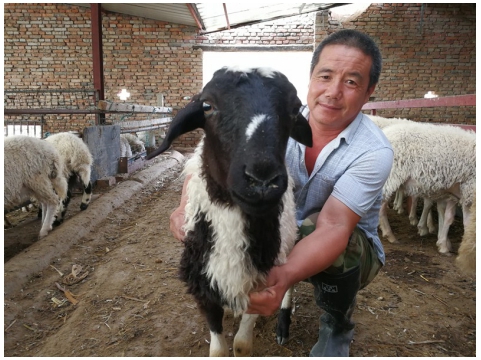 加強(qiáng)終端銷(xiāo)售體系建設(shè) 構(gòu)建生態(tài)養(yǎng)殖產(chǎn)業(yè)鏈閉