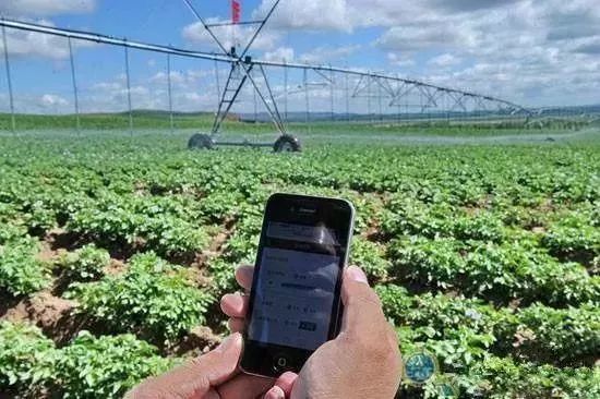互聯(lián)網+農業(yè)，6大創(chuàng)業(yè)方向是…