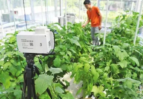 互聯(lián)網+農業(yè)，6大創(chuàng)業(yè)方向是…