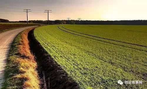 依靠美村網(wǎng)，95后小伙用互聯(lián)網(wǎng)+農(nóng)業(yè)改變農(nóng)產(chǎn)品銷售模式