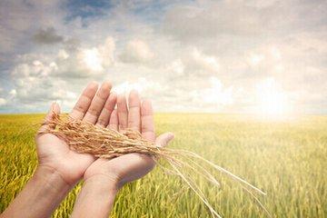 杜培良打造中國生態(tài)農(nóng)牧業(yè)商城，助力最美新農(nóng)村建設(shè)