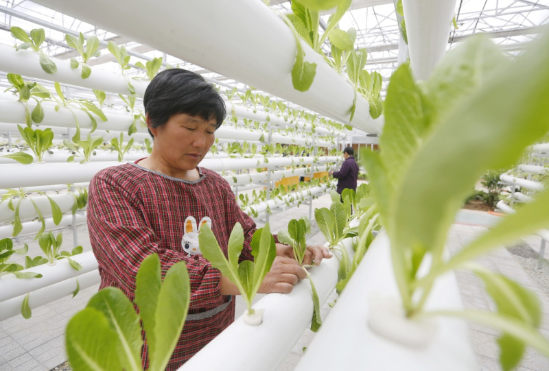 “互聯(lián)網(wǎng)+”助力智慧農(nóng)業(yè)