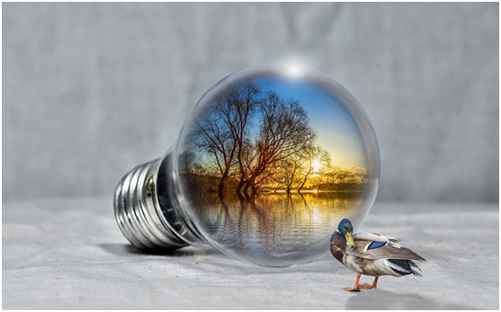 嚴(yán)控時代來臨：光伏企業(yè)或?qū)ⅡT虎難下