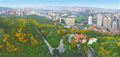 福建：“綠色引擎”激活發(fā)展新動能