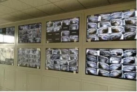 智能化養(yǎng)豬系統(tǒng)，現(xiàn)代化農(nóng)業(yè)發(fā)展之路