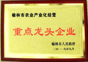 打造互聯(lián)網(wǎng)+農(nóng)產(chǎn)品領(lǐng)先品牌 帶動陜西農(nóng)業(yè)經(jīng)濟(jì)騰飛