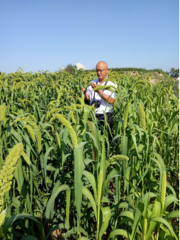 打造互聯(lián)網(wǎng)+農(nóng)產(chǎn)品領(lǐng)先品牌 帶動陜西農(nóng)業(yè)經(jīng)濟(jì)騰飛