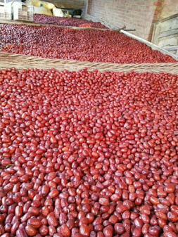 打造互聯(lián)網(wǎng)+農(nóng)產(chǎn)品領(lǐng)先品牌 帶動陜西農(nóng)業(yè)經(jīng)濟(jì)騰飛