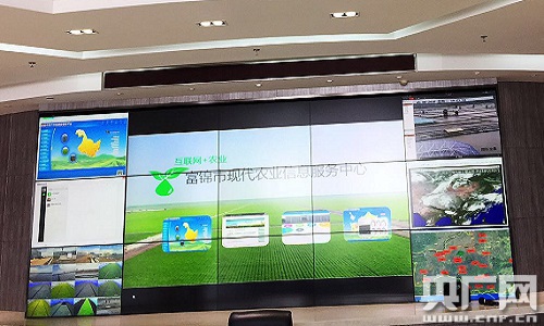 富錦“生產(chǎn)+加工+科技”模式引領現(xiàn)代農(nóng)業(yè)發(fā)展