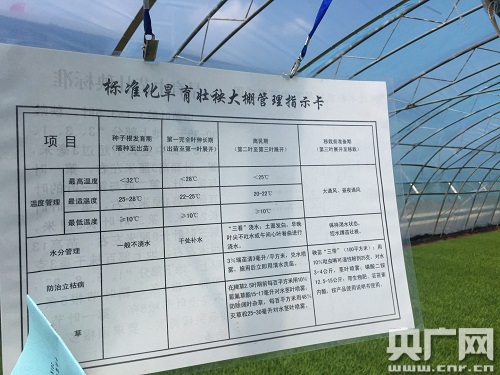 富錦“生產(chǎn)+加工+科技”模式引領現(xiàn)代農(nóng)業(yè)發(fā)展