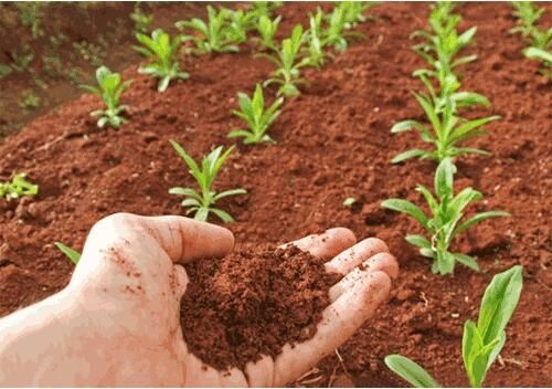 河南有機農業(yè)平臺”互聯(lián)網+創(chuàng)造新模式